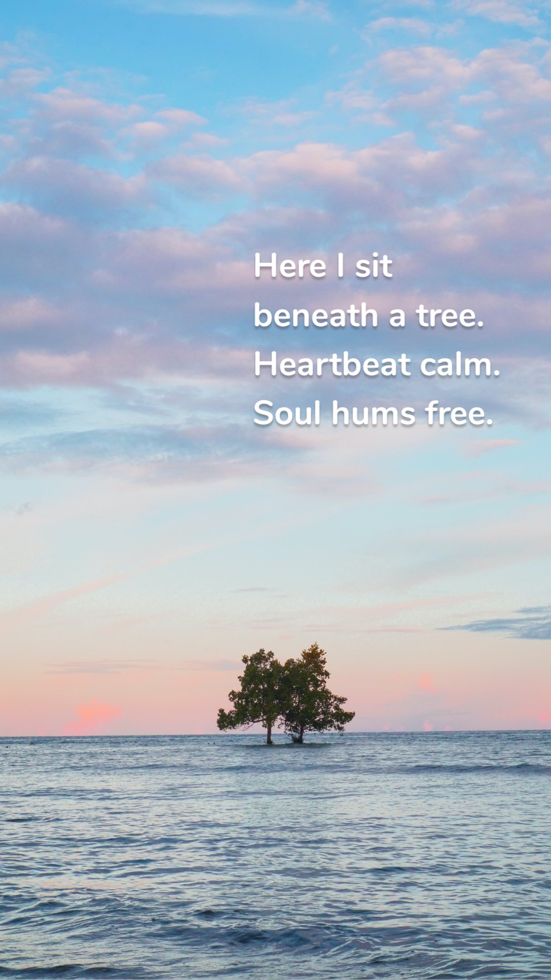Here I sit
beneath a tree.
Heartbeat calm.
Soul hums free.